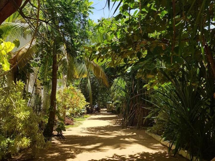 Lavila Beach Cottage Wadduwa Exterior photo